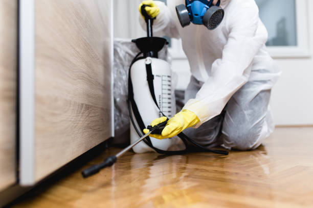 Best Pest Prevention Services  in Needles, CA