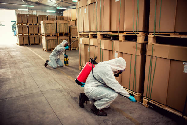 Best Best Pest Control Companies  in Needles, CA