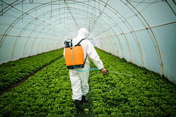 Best Pest Inspection Near Me  in Needles, CA