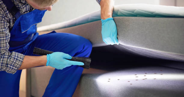 Pest Control for Restaurants in Needles, CA