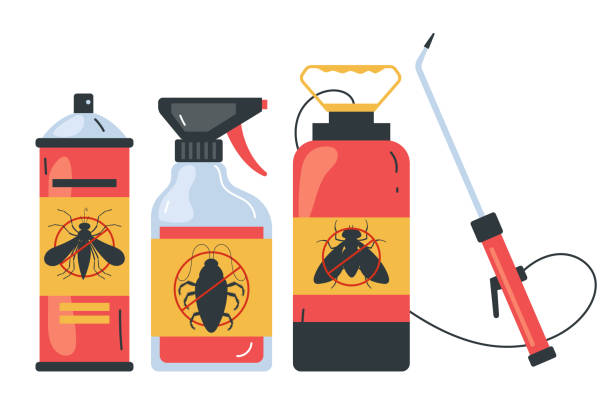 Best Bed Bug Extermination  in Needles, CA