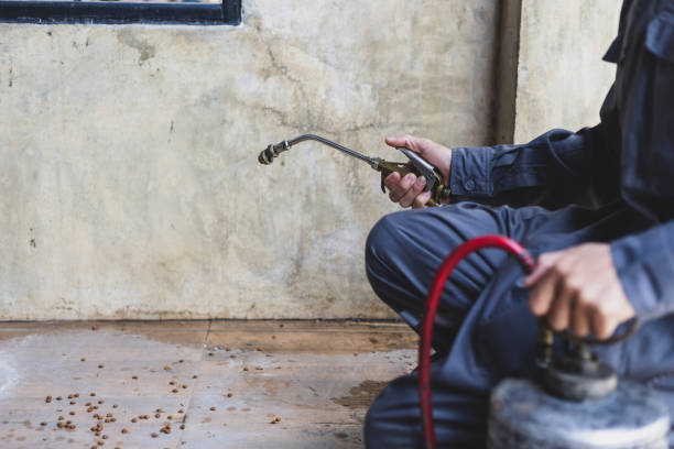 Best Residential Pest Control  in Needles, CA